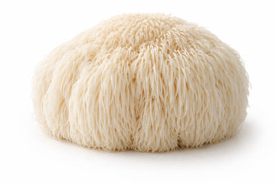 Lion’s Mane Mushroom